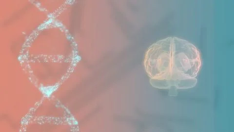 3d image of the human brain and DNA spiral on colorful screen. 库存插图