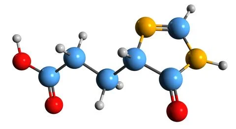 3D image of Imidazol-4-one-5-propionic acid skeletal formula Stock Illustration