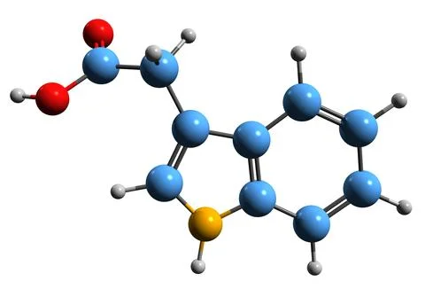 3D image of Indole-3-acetic acid skeletal formula Illustrazione stock