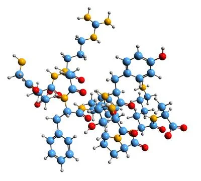 3D image of Insulin B skeletal formula Stock Illustration
