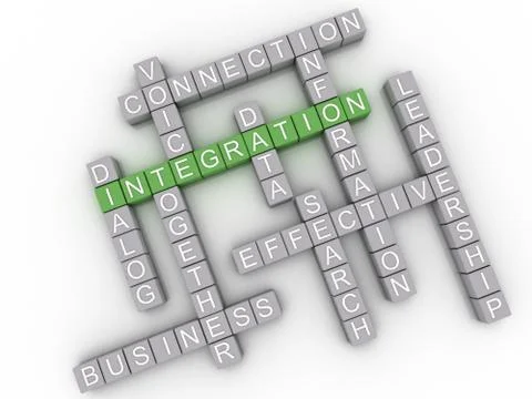 3d image integration issues concept word cloud background Stock Illustration