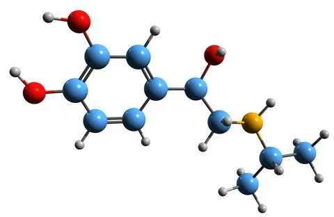 3D image of Isoprenaline skeletal formula Stock Illustration