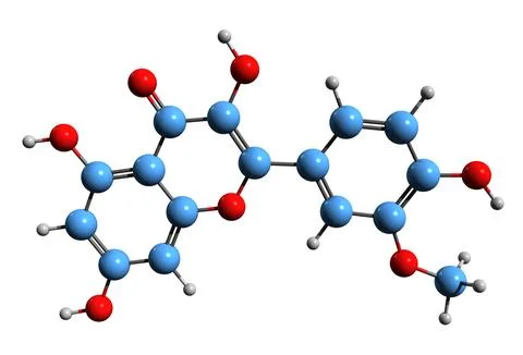 3D image of Isorhamnetin skeletal formula Stock Illustration