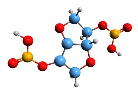 3D image of Isosorbide dinitrate skeletal formula Stock Illustration