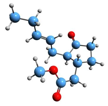3D image of Jasmonate skeletal formula Stock Illustration