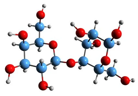 3D image of Lactose skeletal formula Stock Illustration