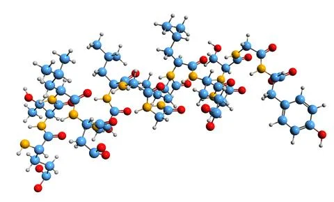 3D image of Leptin skeletal formula Stock Illustration