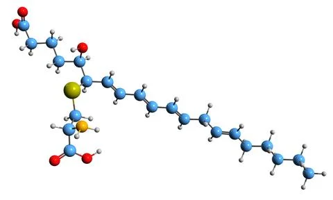 3D image of Leukotriene E4 skeletal formula Stock Illustration