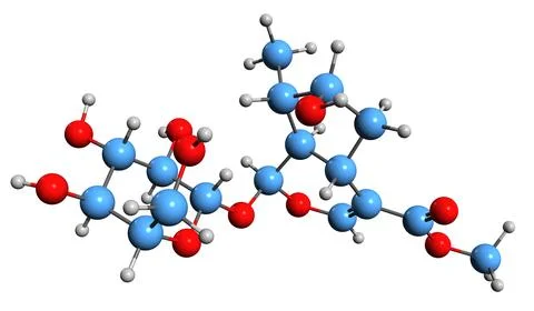 3D image of Loganin skeletal formula Stock Illustration