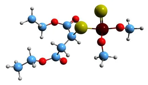3D image of Malathion skeletal formula Stock Illustration