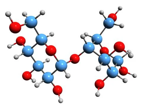 3D image of Maltose skeletal formula Stock Illustration