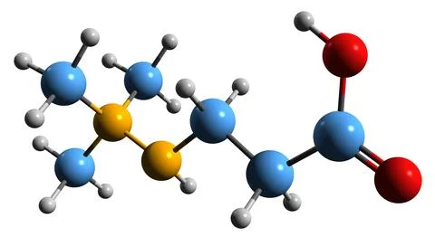 3D image of Meldonium skeletal formula Stock Illustration