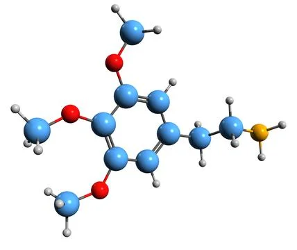 3D image of mescaline skeletal formula Stock Illustration