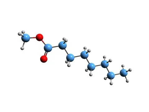 3D image of Methyl octanoate skeletal formula Stock Illustration