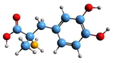 3D image of Methyldopa skeletal formula Stock Illustration