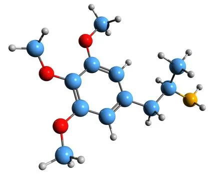 3D image of a-Methylmescaline skeletal formula Illustrazione stock