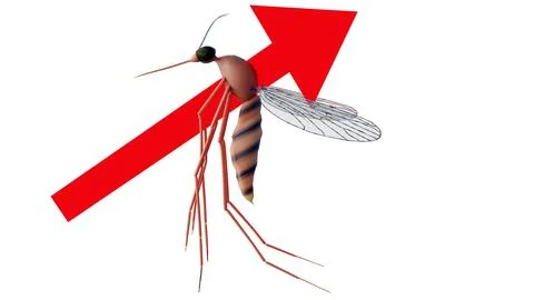 A 3d image of a mosquito with a red arrow pointing through its body Stock Illustration