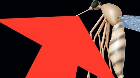 A 3d image of a mosquito with a red arrow pointing through its body Stock Illustration