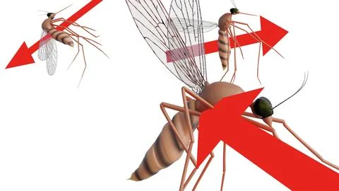 A 3d image of a mosquito with a red arrow pointing through its body Stock Illustration