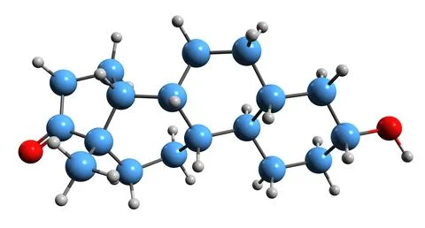 3D image of Norandrosterone skeletal formula Stock Illustration