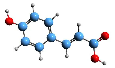 3D image of p-Coumaric acid skeletal formula 스톡 일러스트