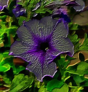 3d image of a petunia flower Stock Illustration