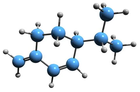 3D image of Phellandrene skeletal formula Stock Illustration