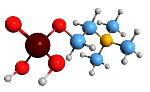 3D image of Phosphocholine skeletal formula Illustrazione stock
