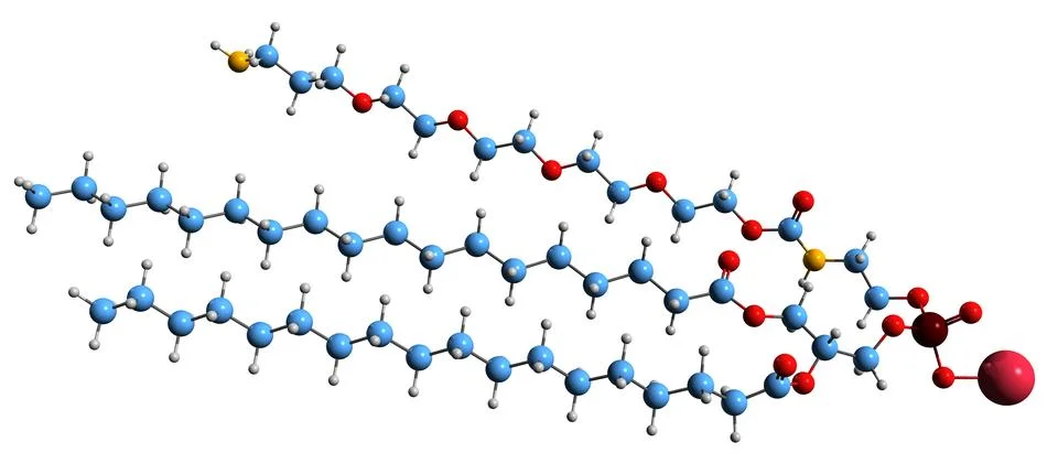 3D image of Phospholipid-PEG-NH2 skeletal formula Stock Illustration