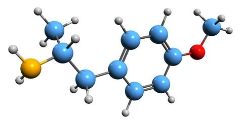 3D image of PMA skeletal formula Stock Illustration