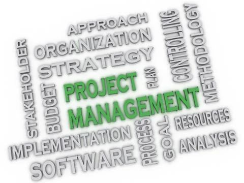 3d image project management issues concept word cloud background Stock Illustration