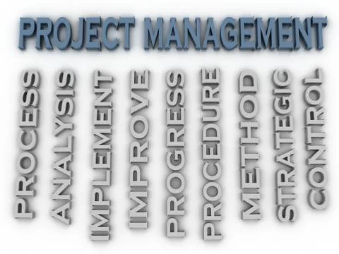3d image Project management issues concept word cloud background Illustrazione stock