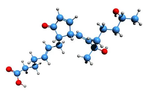 3D image of Prostaglandin A2 skeletal formula Stock Illustration