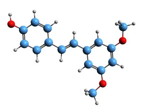 3D image of Pterostilbene skeletal formula Stock Illustration