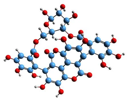 3D image of Punicalin skeletal formula Stock Illustration
