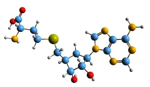 3D image of S-Adenosyl-L-homocysteine skeletal formula Stock Illustration