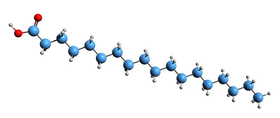 3D image of Stearic acid skeletal formula Stock Illustration