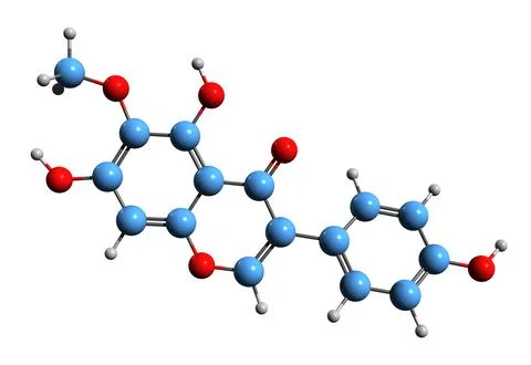 3D image of Tectorigenin skeletal formula Stock Illustration