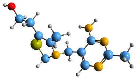 3D image of Thiamine skeletal formula Stock Illustration