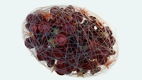 The 3D image of thrombus formation within a blood vessel Stock Illustration