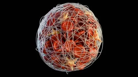 The 3D image of thrombus formation within a blood vessel Stock Illustration