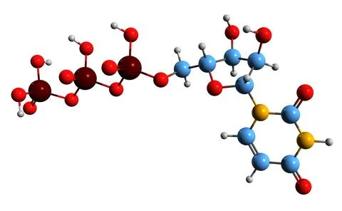 3D image of Uridine triphosphate skeletal formula Stock Illustration