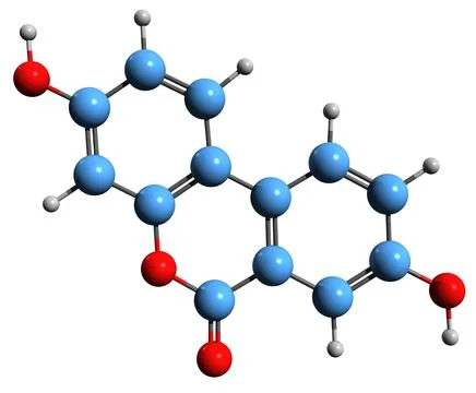 3D image of Urolithin A skeletal formula Stock Illustration