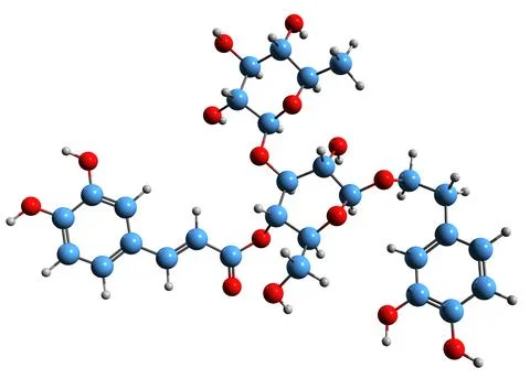 3D image of Verbascoside skeletal formula Stock Illustration
