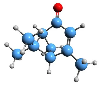 3D image of Verbenone skeletal formula Stock Illustration