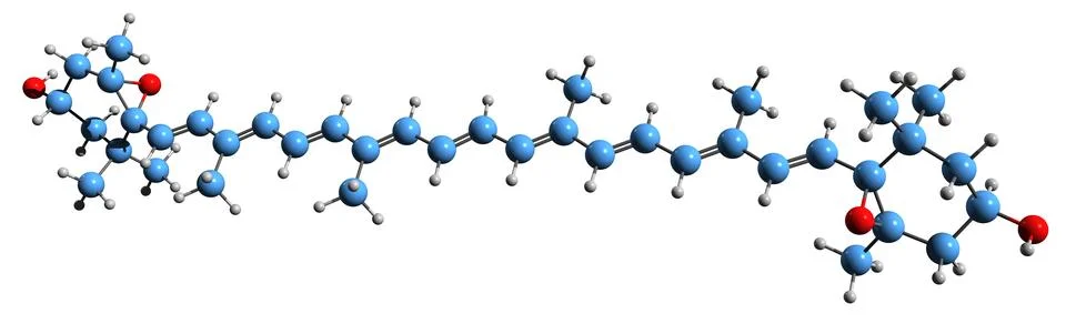 3D image of Violaxanthin skeletal formula 스톡 일러스트