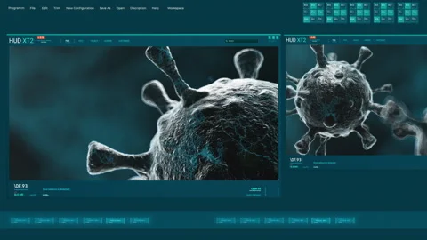 3D Images Of Virus In Computer Program Interface Stock Footage 250727659