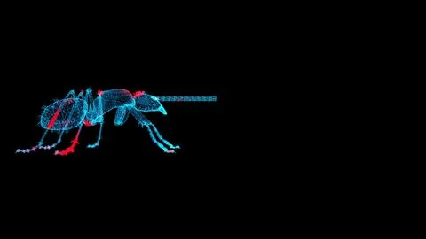 3D Insect scan on black bg with copy space. Control and killing of Insect. .. イラスト素材