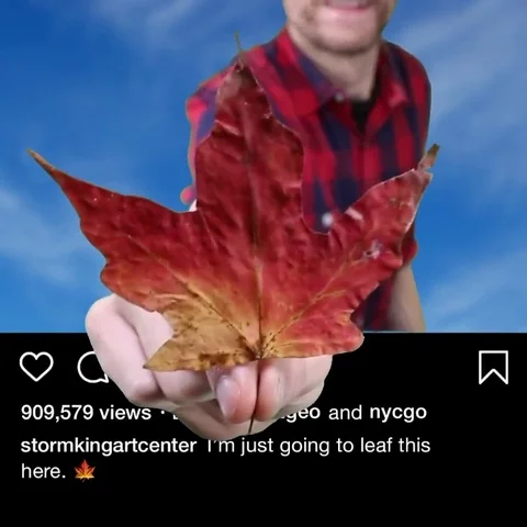 3D Instagram Post - Leaf (Dark Mode) Stock Footage