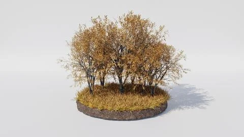 3d island round shape with grass and orange leafs on trees, autumn season. Stock Illustration